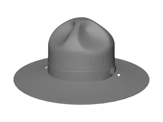 3D model for Brown campaign hat