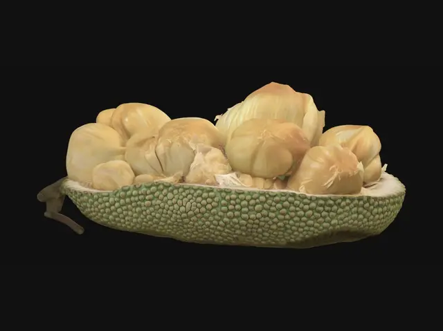 3D model for Jackfruit