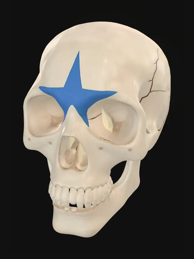 3D model for un tete de mort dessin detoile sur le crane  en bleux