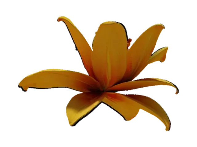 Lily flower - Blossom 3D model, vytvořený pomocí AI