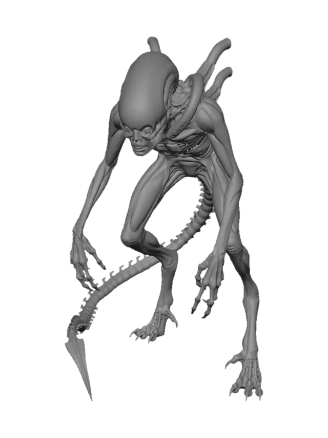 3D model for Studio Predator