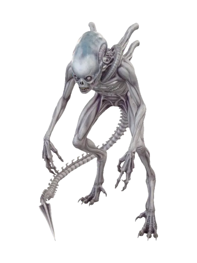 3D model for Studio Predator