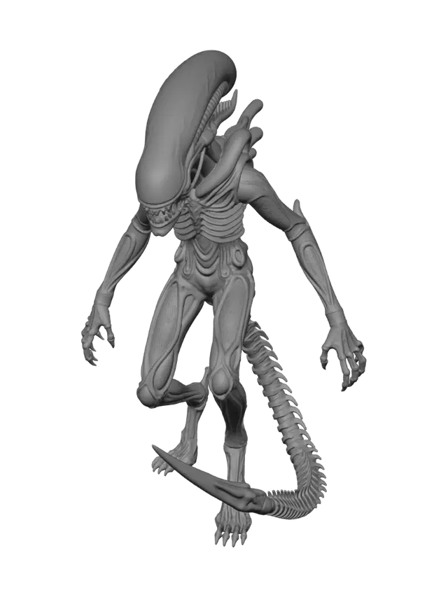 3D model for Nocturnal Xenomorph