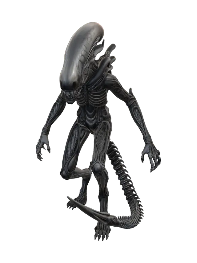 3D model for Nocturnal Xenomorph