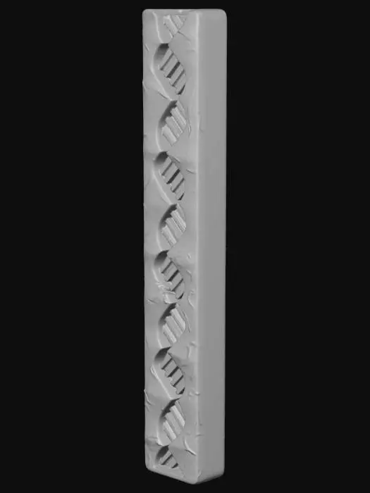 3D model for DNA Helix Bar