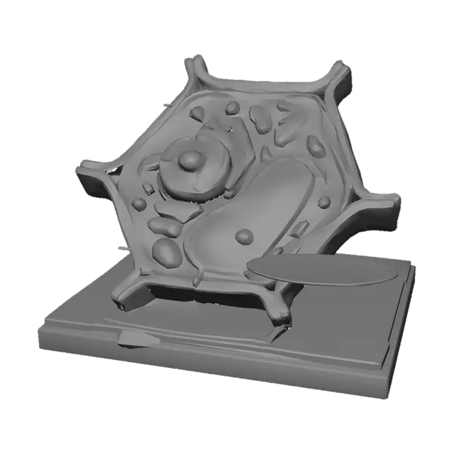 3D model for Plant Cell Diagram