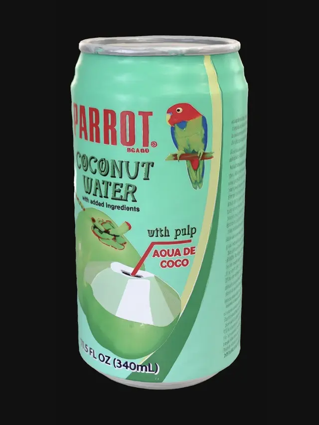 3D model for Parrot Coconut Water