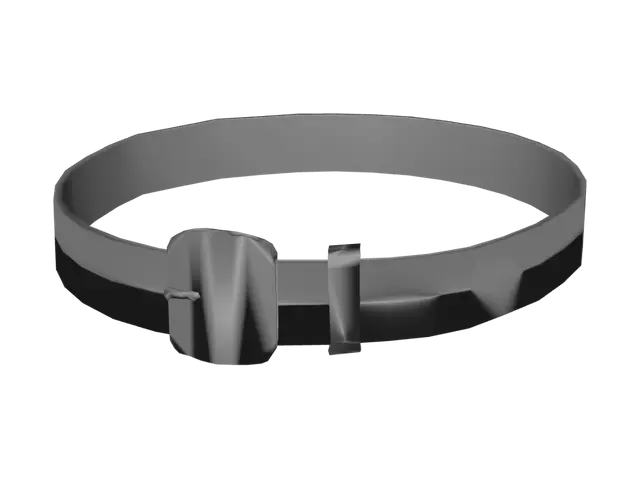 3D model for ErusiBody