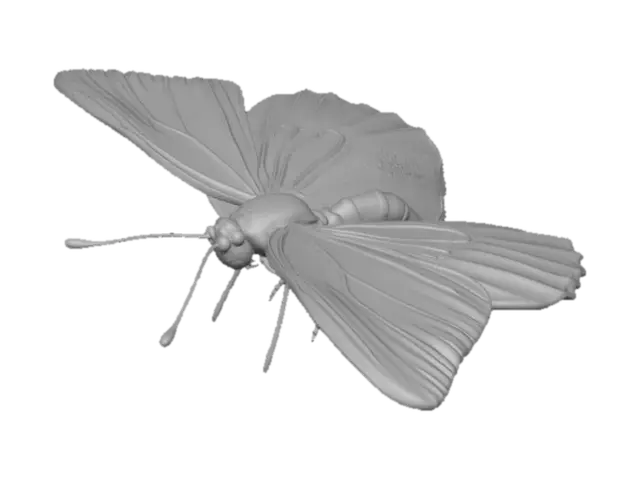 3D model for A realistic cabbage white butterfly
