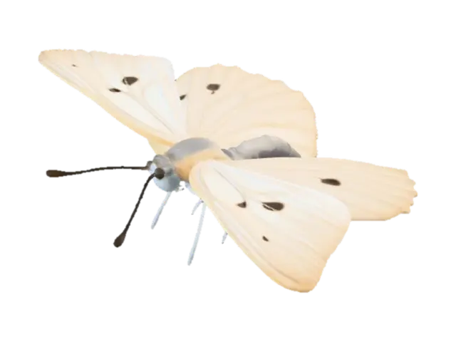 3D model for A realistic cabbage white butterfly