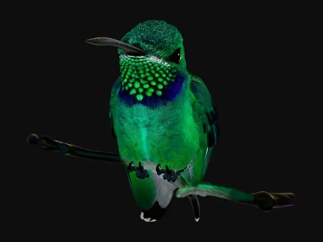 3D model for Emerald Hummingbird