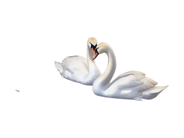 3D model for Swans in Love