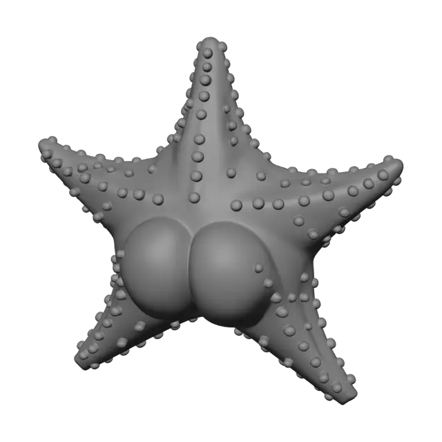 3D model for Starfish on Connect logo