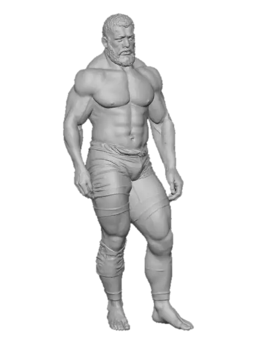 3D model for Wrestler at Rio 2016