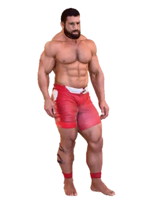 3D model for Wrestler at Rio 2016