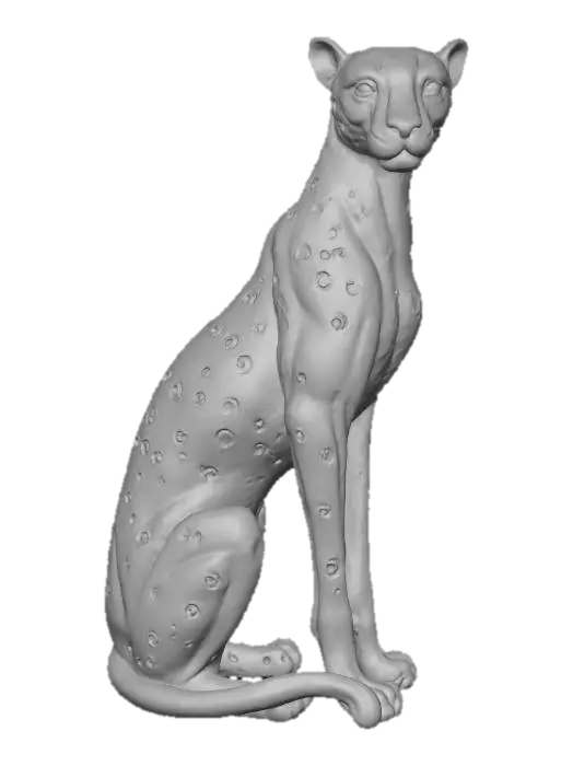 3D model for Golden Cheeta