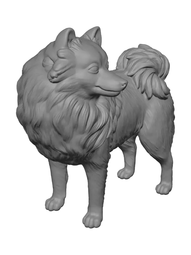 3D model for Fluffy Pomeranian at the railing
