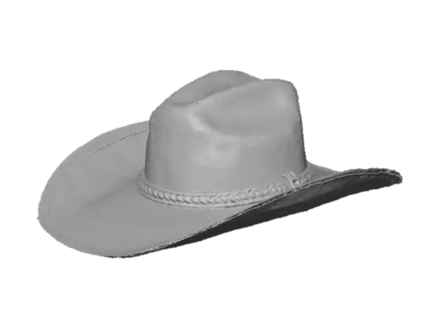 3D model for Design a retro cowboy hat used between 1800 and 1900. Make it with a straw sash. Create a distressed look. Create a realistic, high-quality texture.
