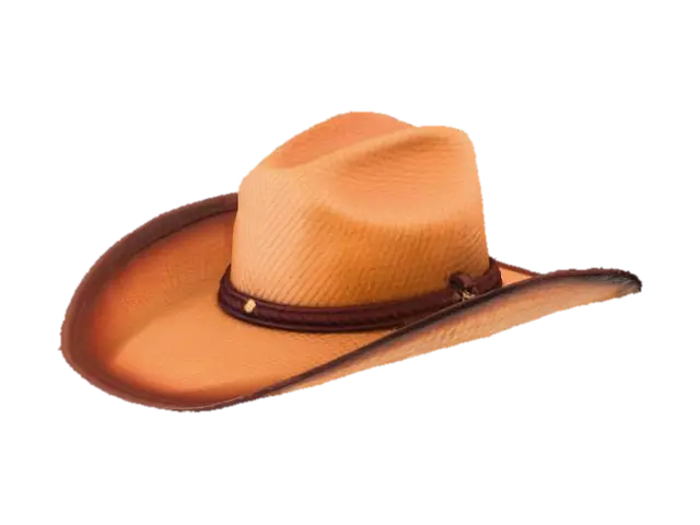 3D model for Design a retro cowboy hat used between 1800 and 1900. Make it with a straw sash. Create a distressed look. Create a realistic, high-quality texture.