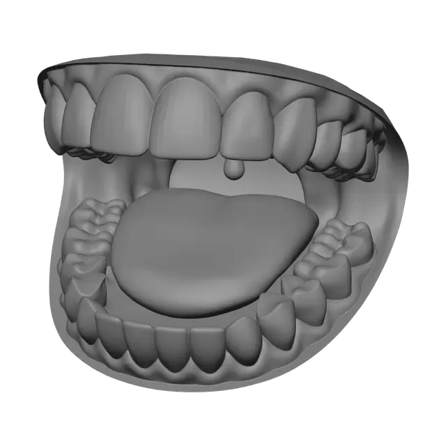 3D model for Open Mouth Dental Model