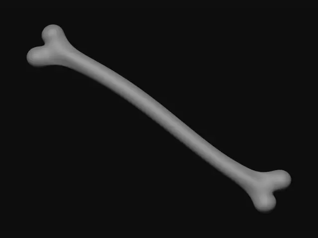3D model for long bone