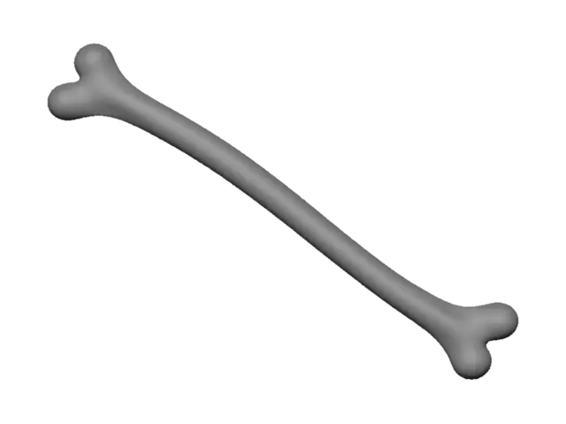 3D model for long bone