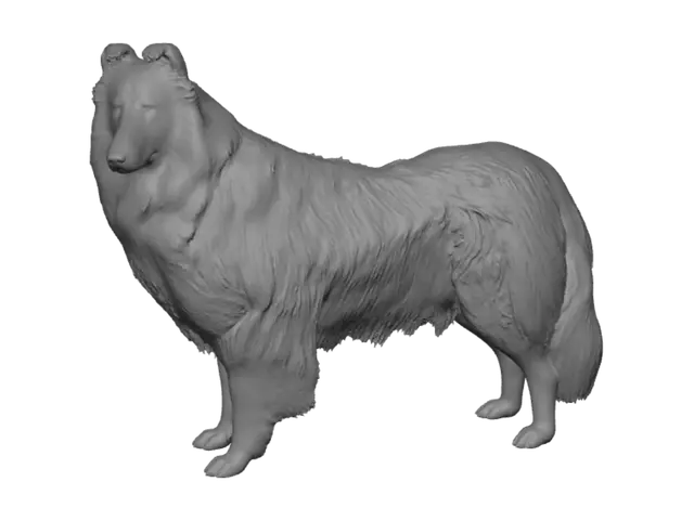 3D model for Snowy Sheltie
