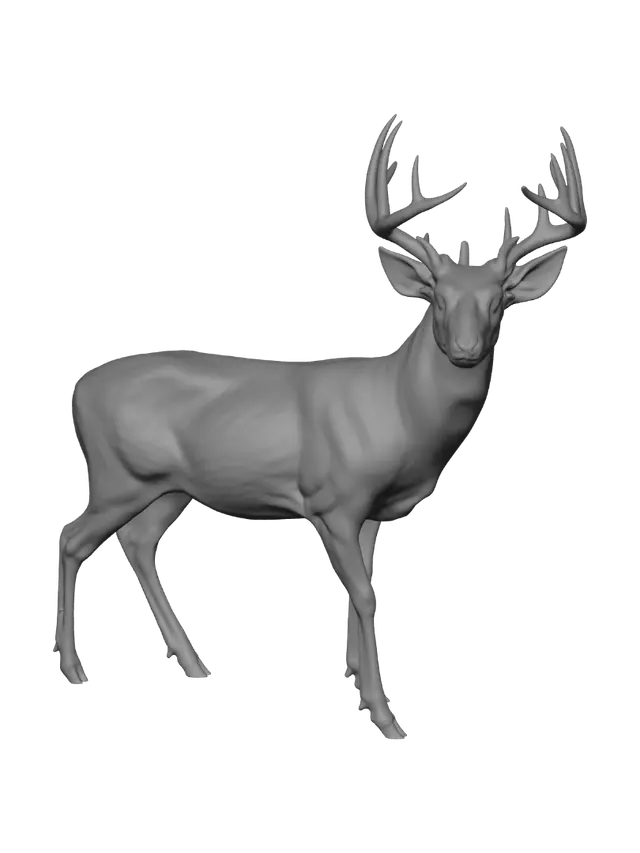 3D model for Winter Stag