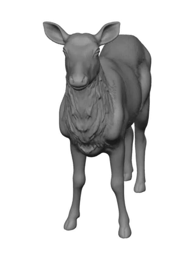 3D model for Young deer in the meadow