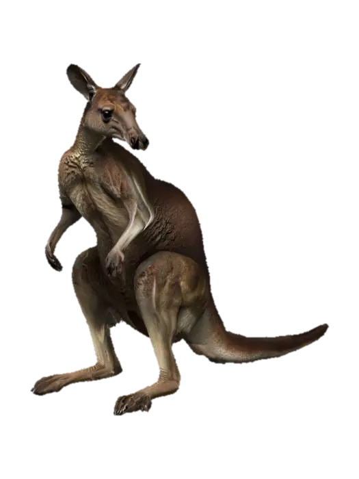 Kangaroo_ 3D model, vytvořený pomocí AI