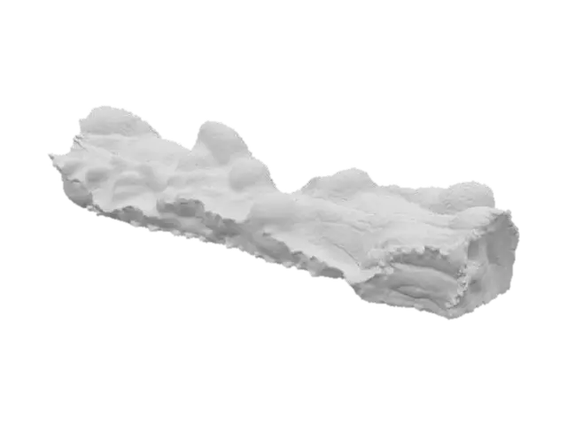 3D model for Crispy Bacon Strip