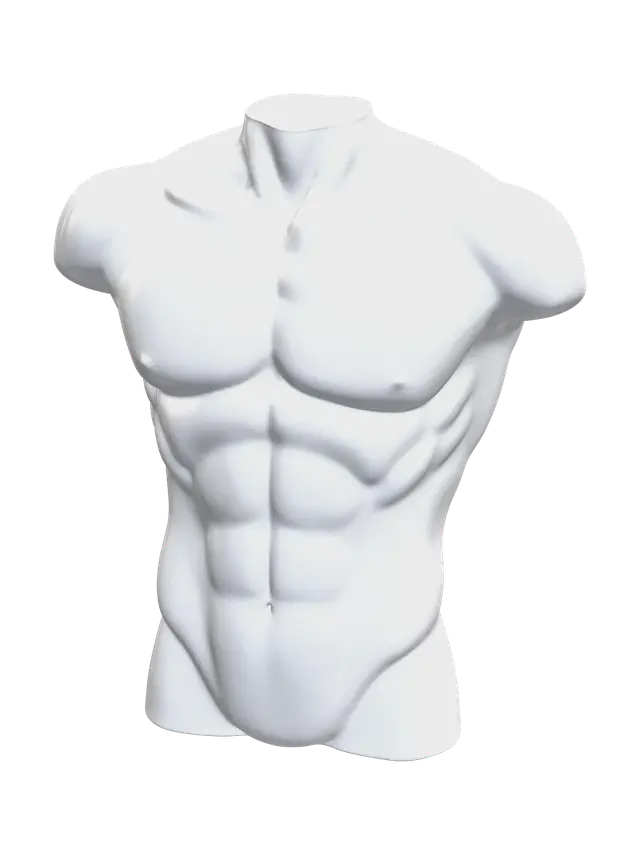 Modello 3D Torso Muscles - Pecs, generato dall’IA