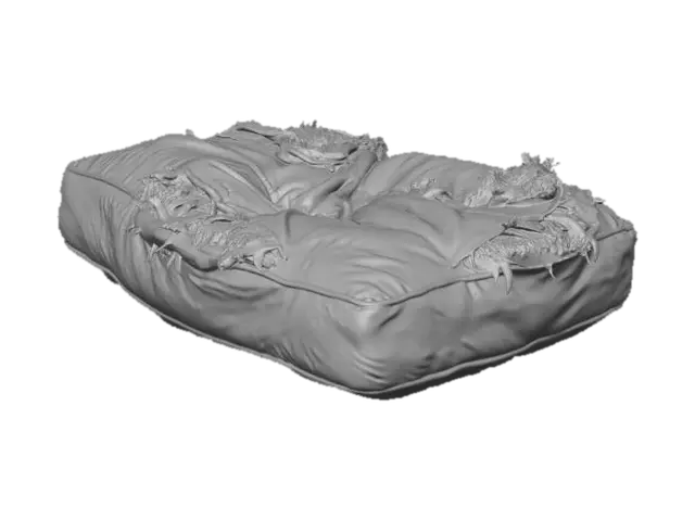 3D model for Worn Comfort