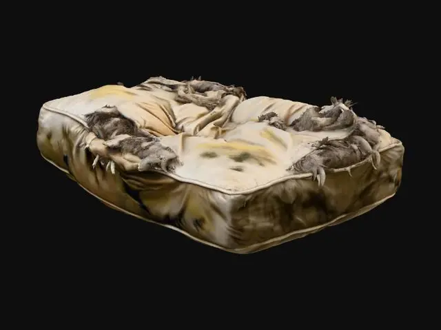 3D model for Worn Comfort