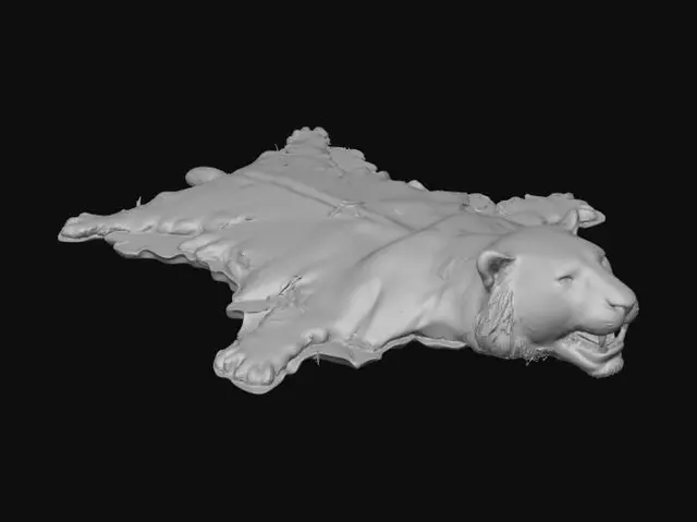 3D model for Rotting Tiger Skin Rug