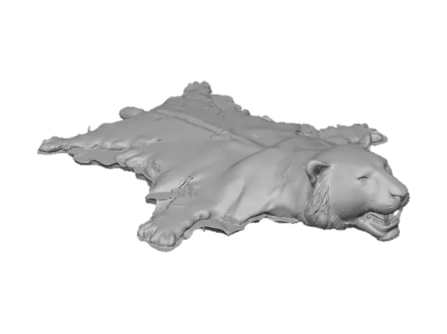 3D model for Rotting Tiger Skin Rug