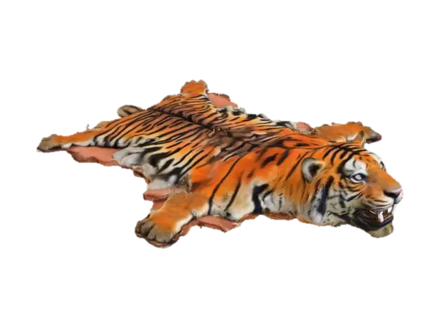 3D model for Rotting Tiger Skin Rug