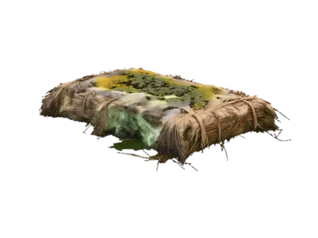 Moldy Straw Pallet 2 - Mold 3D model, vytvořený pomocí AI