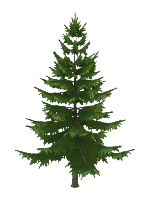 Norway Spruce 1-3D-modell, genererad av AI