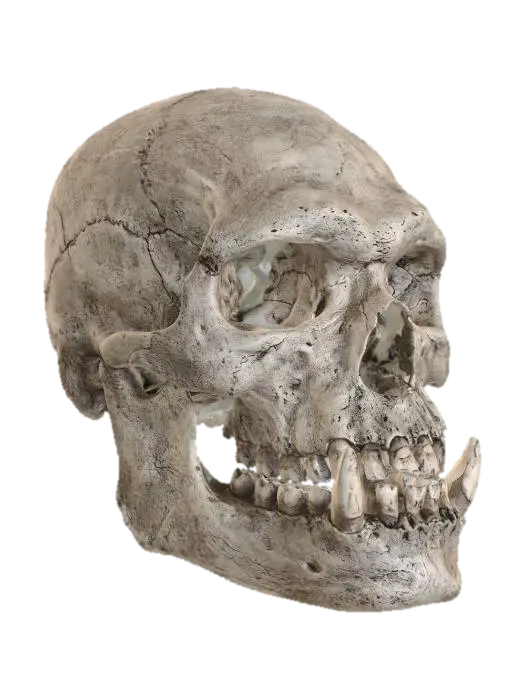 Hill Giant Skull 3D model, vytvořený pomocí AI