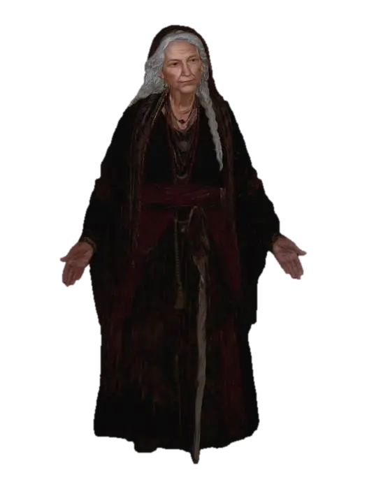 Elderly Vistani fortune teller woman w/sharp intelligent eyes, aged but commanding… 3D model, vytvořený pomocí AI