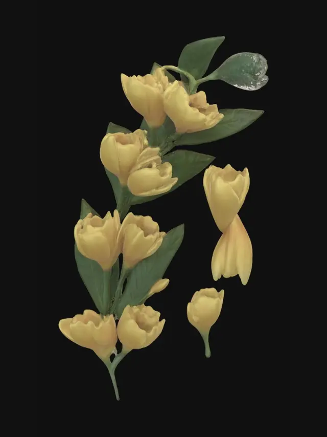 3D model for Golden Forsythia Branch
