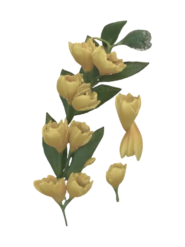 3D model for Golden Forsythia Branch