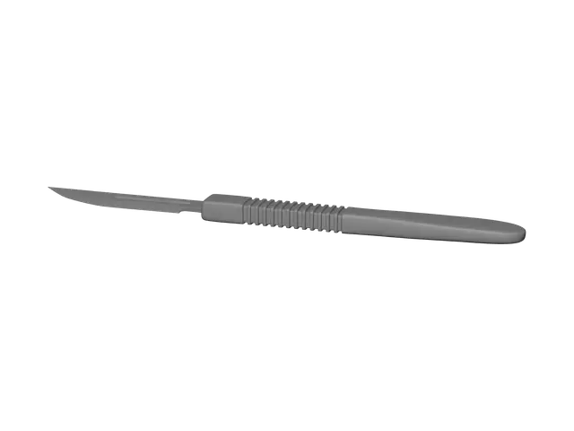 3D model for Scaple