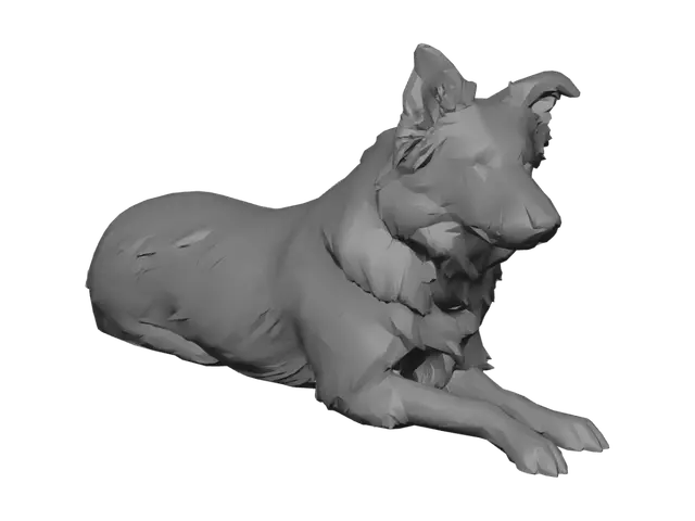 3D model for Border Collie in the Park