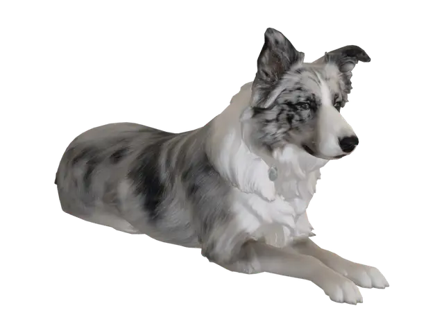 3D model for Border Collie in the Park