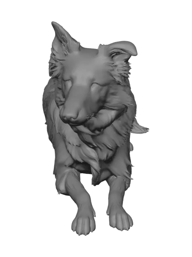 3D model for Border Collie in the Park