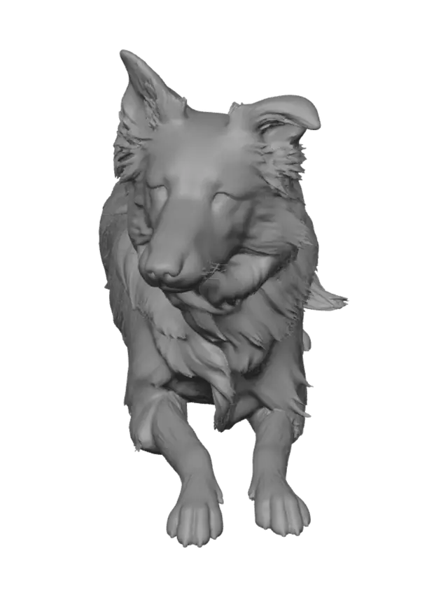 3D model for Border Collie in the Park