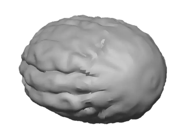 3D model for A Walnut