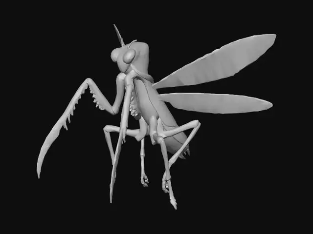 3D model for 3D game asset, aerial enemy, a vertical divine insectoid creature resembling a praying mantis. Body made of polished white porcelain with gold filigree joints. It stands upright in mid-air. It has four translucent, crystalline wings spread wide horizontally in a fixed gliding position. No flapping. Long, sharp golden scythe-like front legs. Faceless head with multi-faceted golden eyes. 4K, Unreal Engine 5 render, isolated on gray background, holy and predatory aesthetic